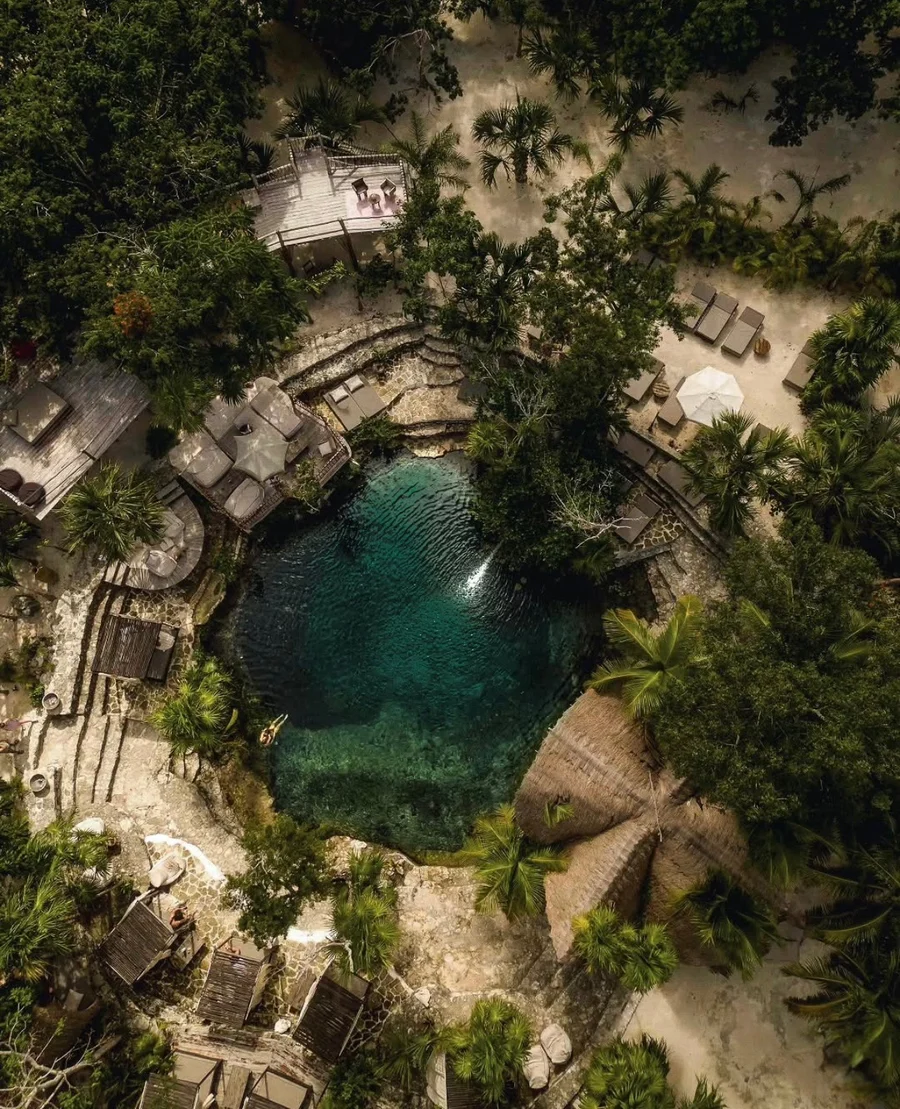 Daybeds in the jungle